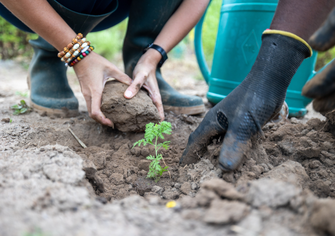 Les besoins de nos partenaires sur le terrain sont immenses, les talents et compétences sont des richesses à partager pour ceux qui y sont appelés ! Le premier pas est à la portée de tous ! Il suffit de s'inscrire à l'une de nos rencontres sur https://partir.fidesco.fr/rencontre-candidature.html Vous avez aimé la vidéo et trouvez cette aventure incroyable ? C'est le moment d'inviter vos amis, familles et proches à la découvrir et pourquoi pas à la vivre !