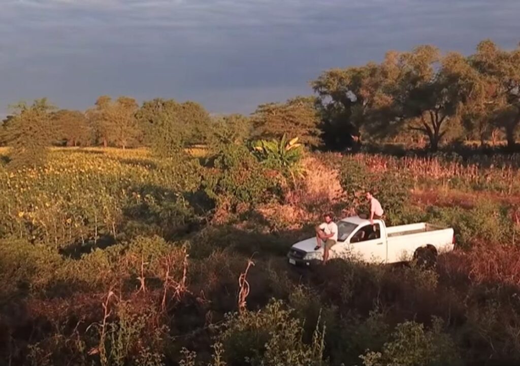 Nos volontaires vivent une aventure fraternelle, professionnelle et spirituelle au cœur de la brousse en Zambie.