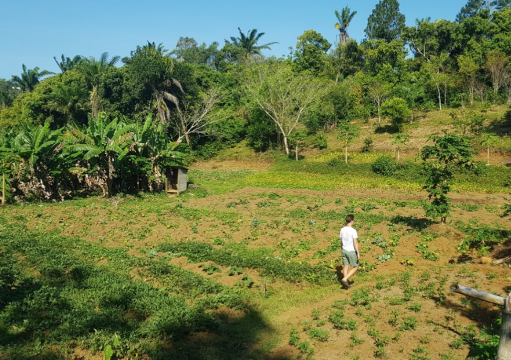 Focus sur nos mission à Madagascar, au service du développement intégral et de l'environnement.